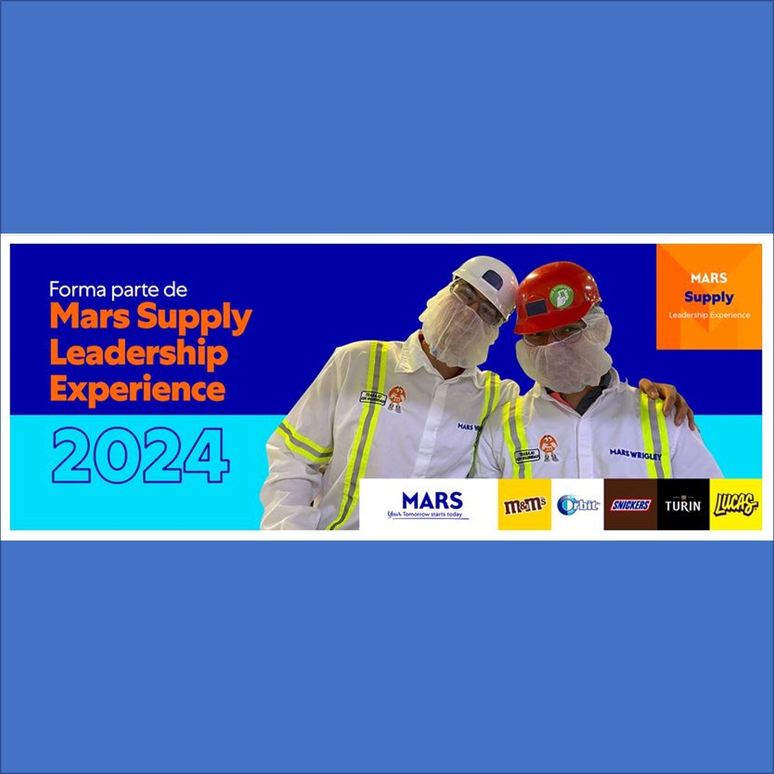 VACANTE Y WEBINAR - Mars Supply Leadership Experience