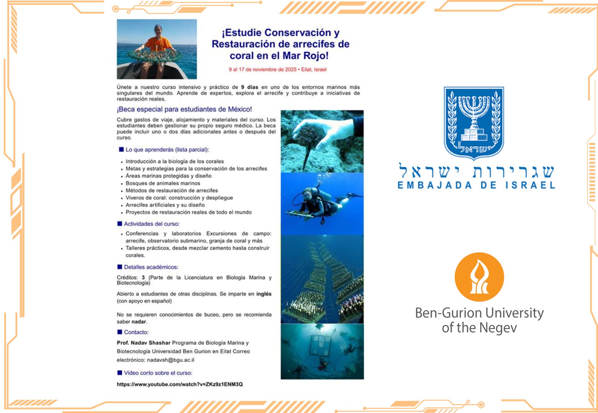 Convocatoria: Becas completas para curso en Israel sobre conservación y restauración de arrecifes de coral