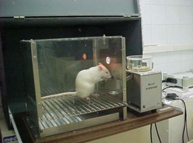 caja de condicionamiento operante