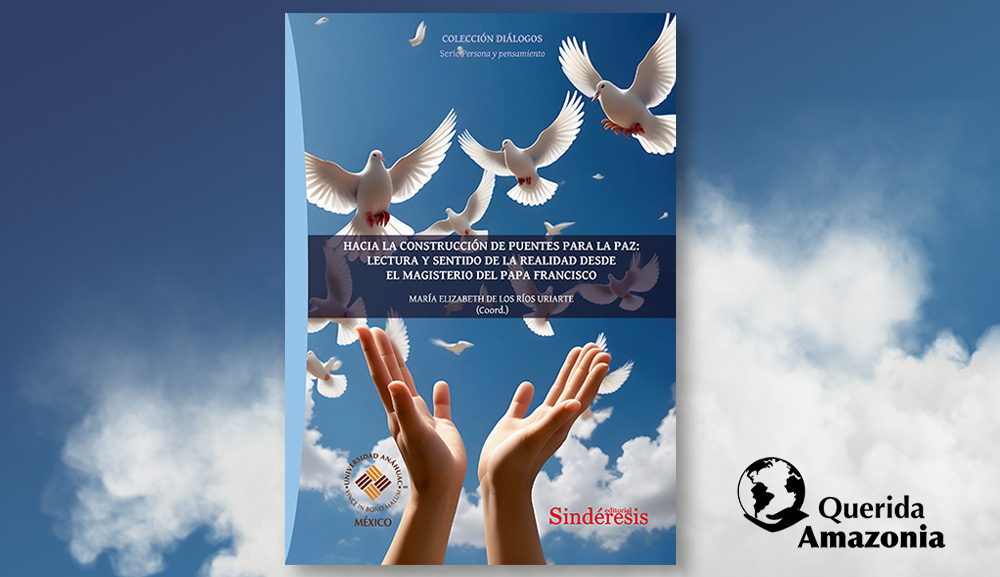 El grupo de Querida Amazonía publica libro sobre el magisterio del Papa Francisco
