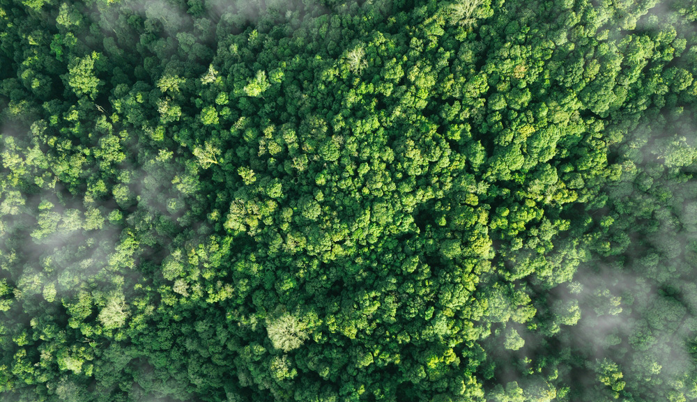 Conectando territorios para la sostenibilidad: aula Internacional COIL México-Colombia