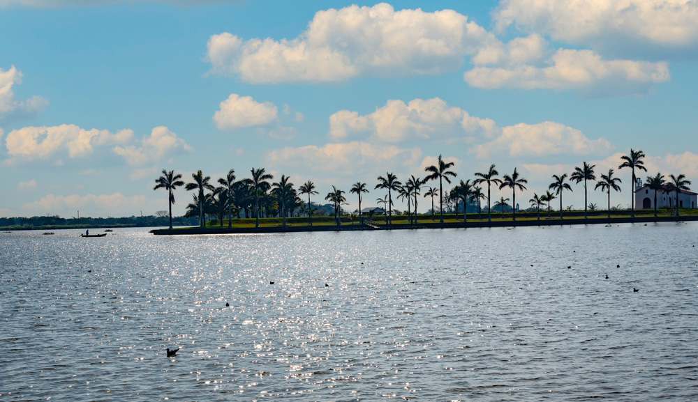 Patrimonios con Historia: Tlacotalpan, un lugar lleno de historia, cultura y color