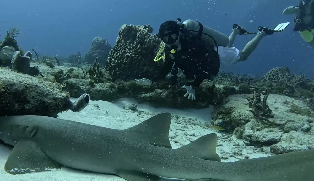 Liderazgo bajo el agua: Día Internacional del Buzo