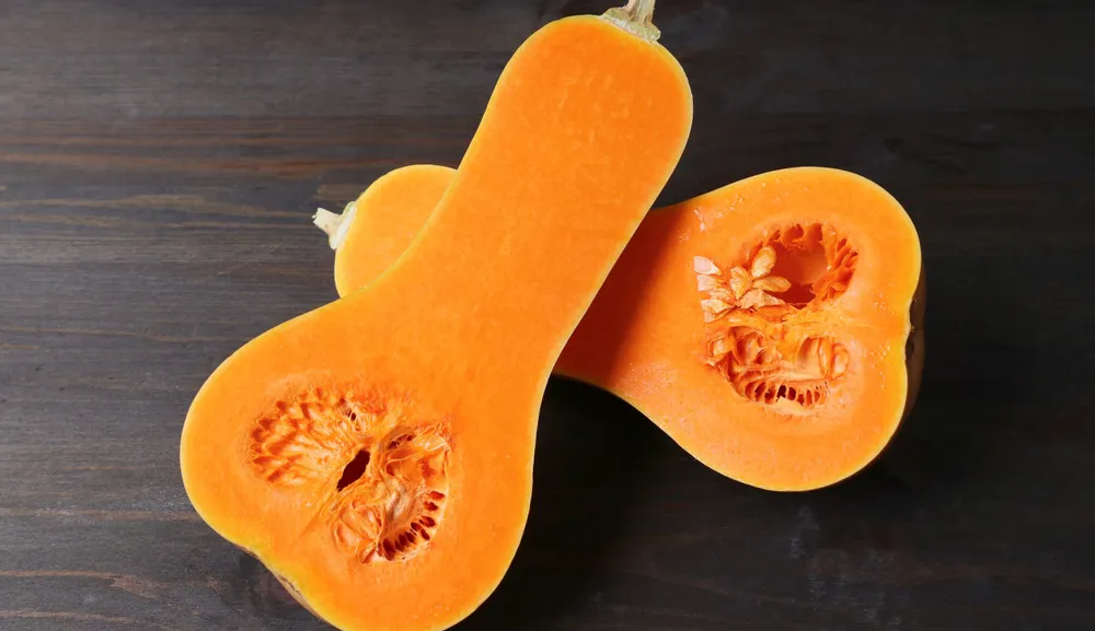 La calabaza y su controversial origen en el mundo